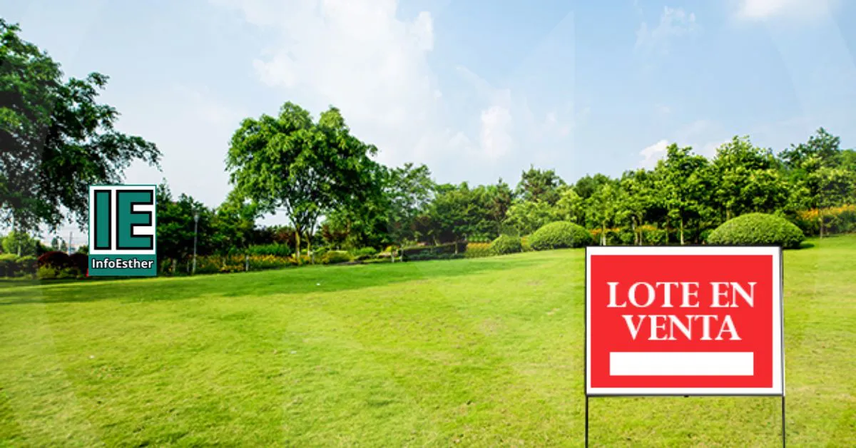 Diseño sin título - 2024-02-20T140657.970